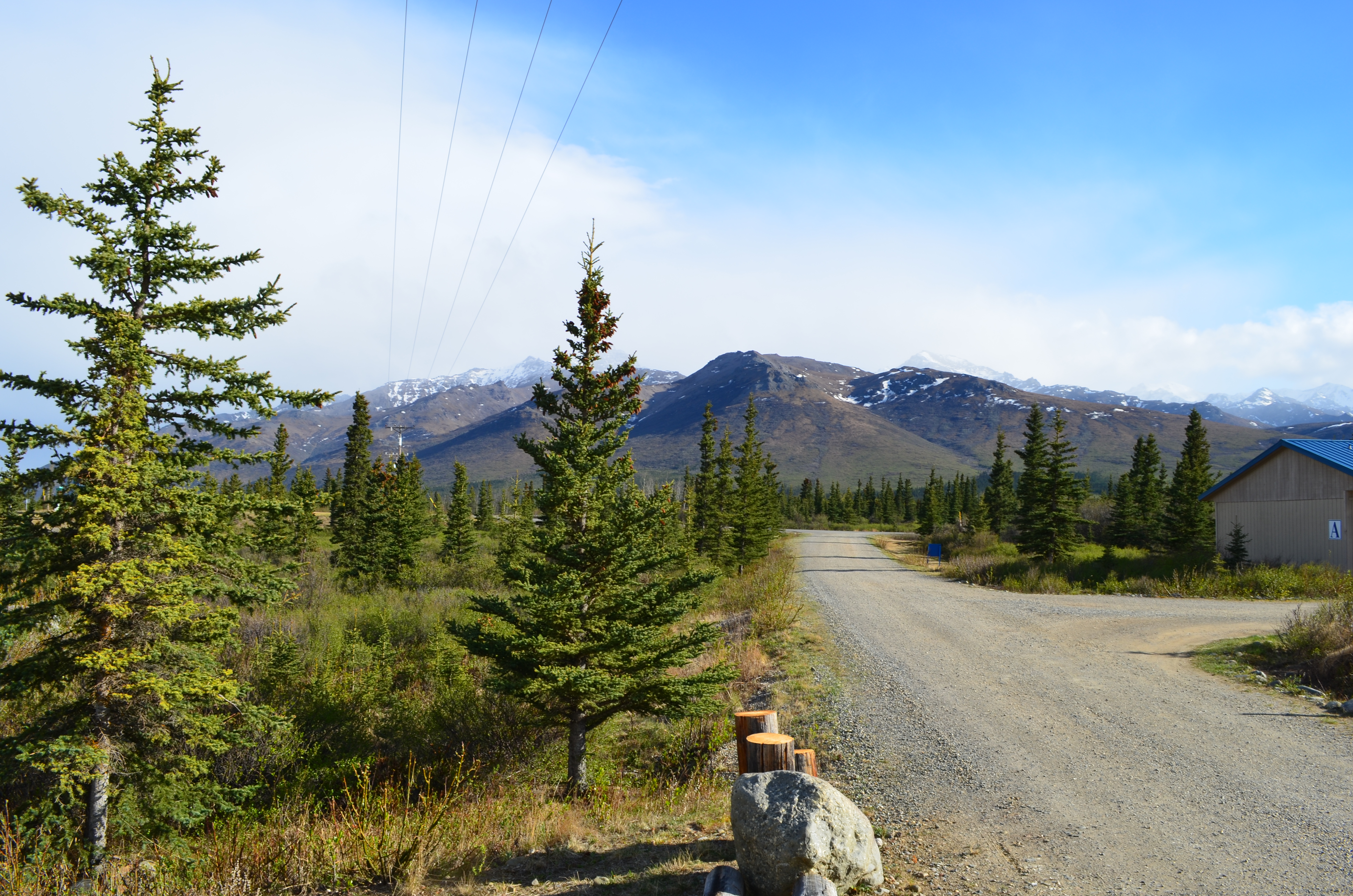 ./2017/08 - Alaska Cruise/03 - Denali/DSC_0155.JPG